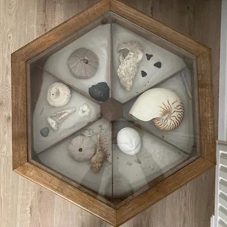 Casa Diatomea *