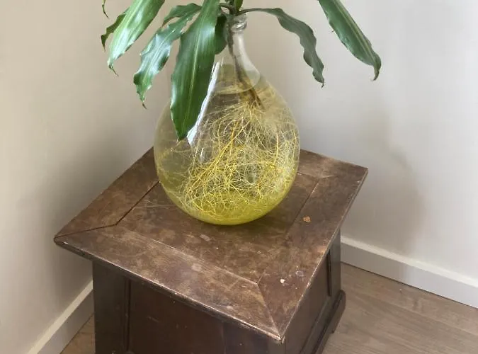 Casa Diatomea * De Haan